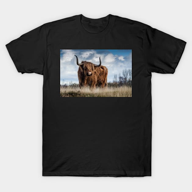 Long Horns Highland Cattle T-Shirt by kawaii_shop